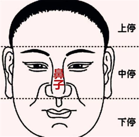 鼻子運勢幾歲|「面相」鼻為面王，鼻子看你性格和財運！